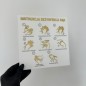TABLICZKA INFORMACYJNA INSTRUKCJA DEZYNFEKCJI RĄK – 3D TABLICZKA INFORMACYJNA INSTRUKCJA DEZYNFEKCJI RĄK – 3D