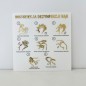 TABLICZKA INFORMACYJNA INSTRUKCJA DEZYNFEKCJI RĄK – 3D TABLICZKA INFORMACYJNA INSTRUKCJA DEZYNFEKCJI RĄK – 3D